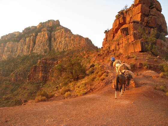 Grand Canyon National Park
