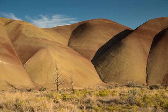 Painted Hills National Monument