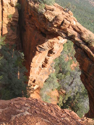 Coconino National Forest