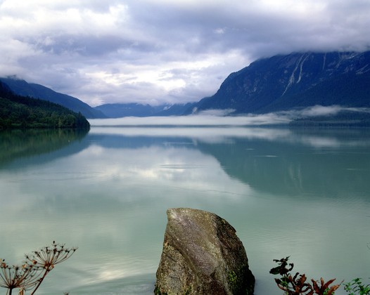 Tongass National Forest