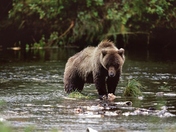 Tongass National Forest
