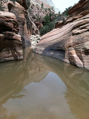Zion