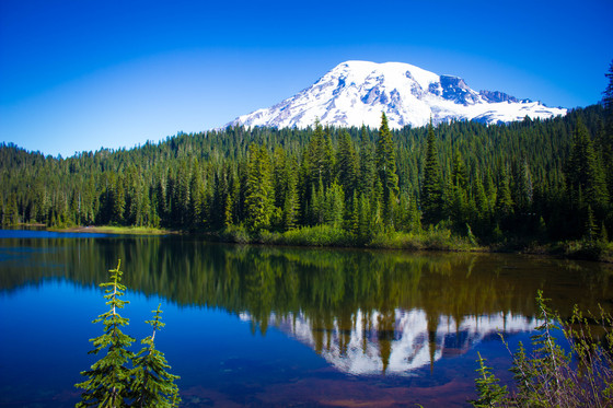 Mount Rainier National Park