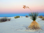 White Sands National Monument