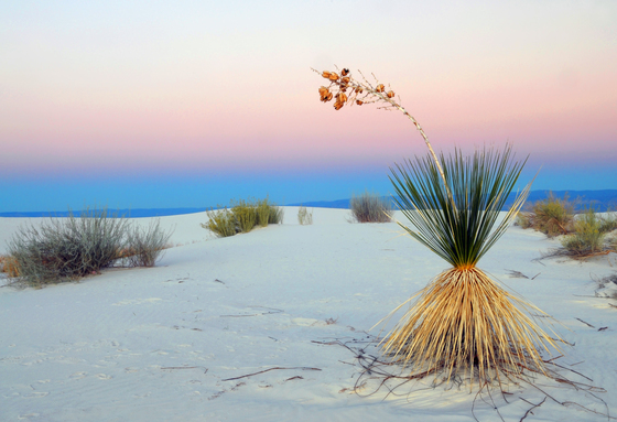 White Sands National Monument