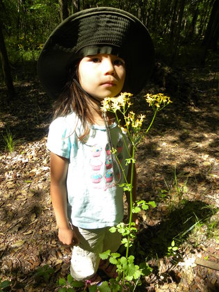 Congaree