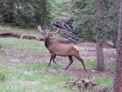 Rocky Mountain National Park