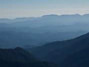 Siuslaw National Forest