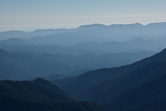 Siuslaw National Forest