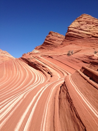Vermillion Cliffs Grande. Escalante Staircase