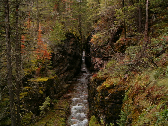 Glacier National Park
