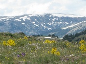 Pike and San Isabel National Forests & Cimarron and Comanche National Grasslands