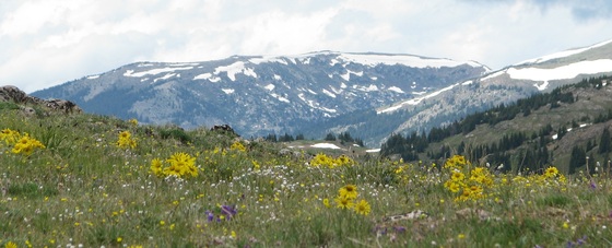Pike and San Isabel National Forests & Cimarron and Comanche National Grasslands