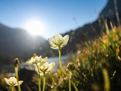 Inyo National Forest