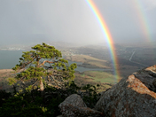 wichita mountains wildlife refuge