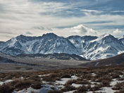 Inyo National Forest