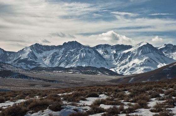 Inyo National Forest