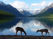 Glacier National Park
