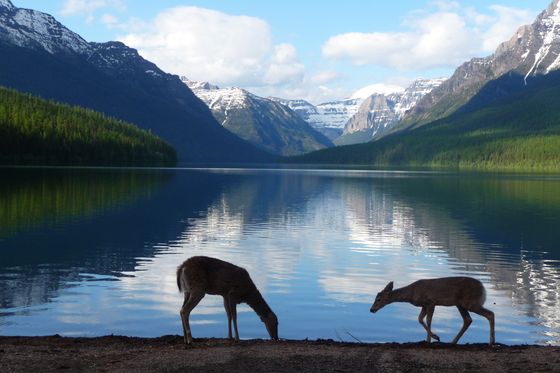Glacier National Park