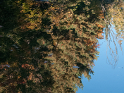 Autumn reflection in St-JÃ©rÃ´me