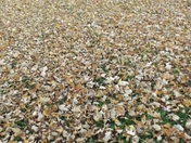 "Unique Perspective"