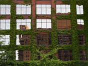 Reflections of Chicago