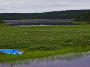 Abandoned and forgotten.