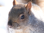 The Eye of the Beholder