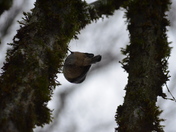 Bird shows me its back!!!