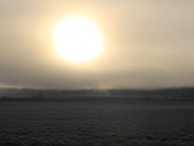 A Frosty, Foggy Morning