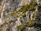 Waterton Mountainside