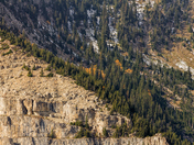 Waterton Mountainside 2