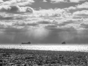 Ships in the Harbour