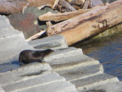   Sites of our walk on breakwater