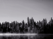 Misty Morining Kayak