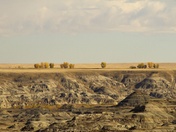 Dinosaur Provincial Park