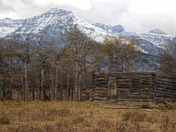 Abandoned Log Cabin