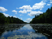 The Kawartha Skyline 