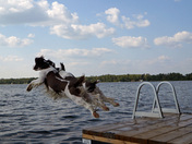 Out for a summer hike