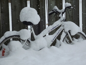 "Snow Cycle"