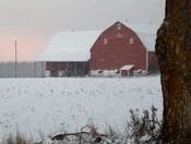 "Red Barn"