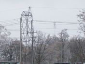 Ice storm 2013 Belleville Ontario