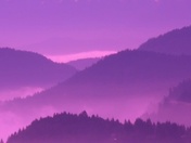 Fog Vancouver Island