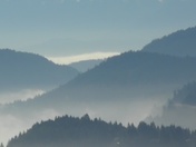 Fog Vancouver Island Canada