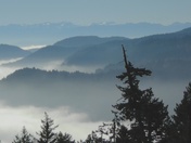 Fog Vancouver Island Canada