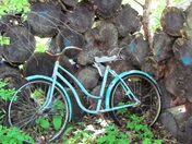Old Bicycle