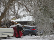 Elephant around the block
