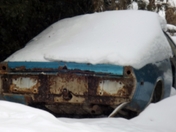 "Not Going Anywhere"