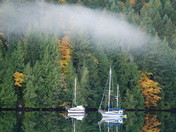Reflections of fall- Gowlland Tod Provincial Park.
