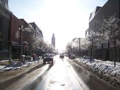 Ice covered trees in downtown Belleville